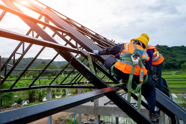 Best Flat Roof Repair Services  in Carbondale, IL