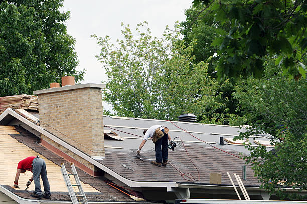 Best Storm Damage Roof Repair  in Carbondale, IL